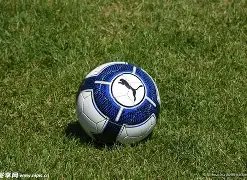 羽联公布暂,停排名更新,奥运资格战,欧博,欧博官网,欧博ABG官网